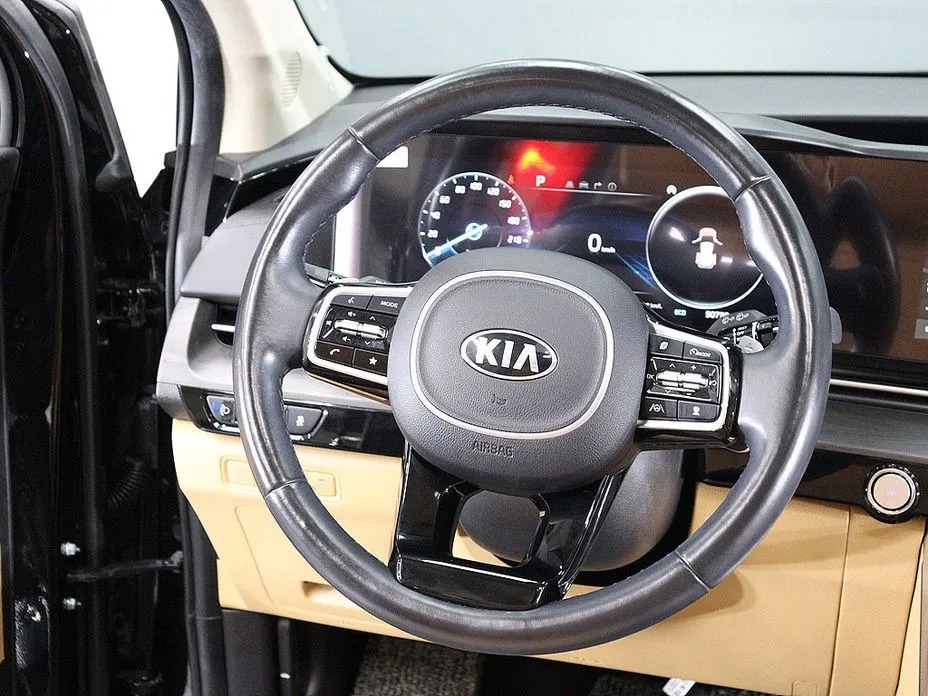 Kia Canival 12