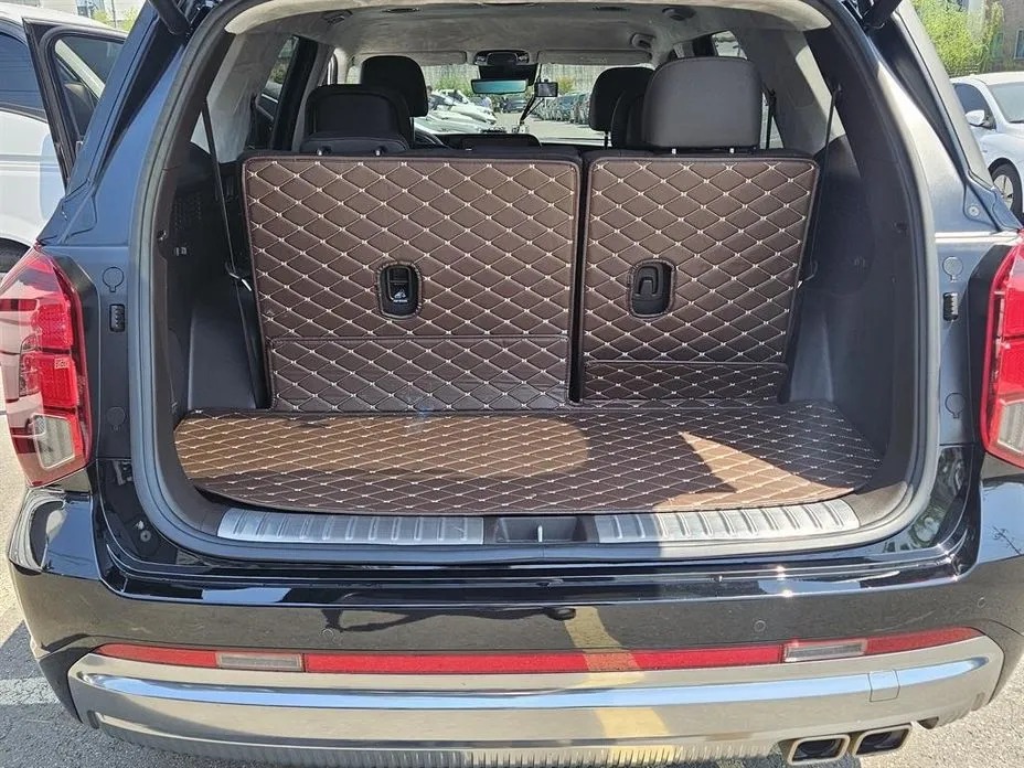 Hyundai Palisade 19