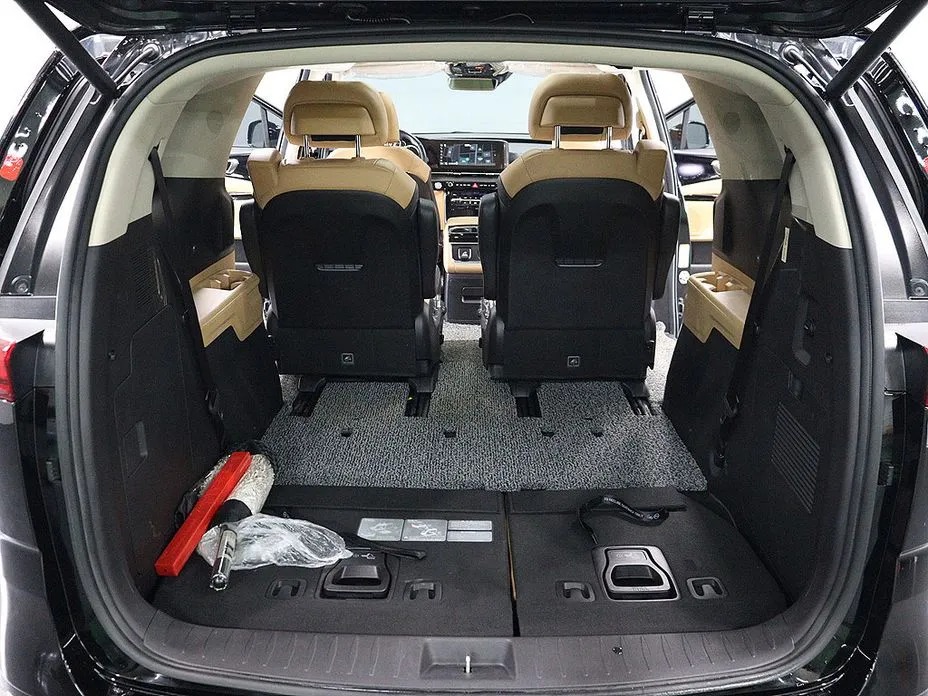 Kia Canival 20
