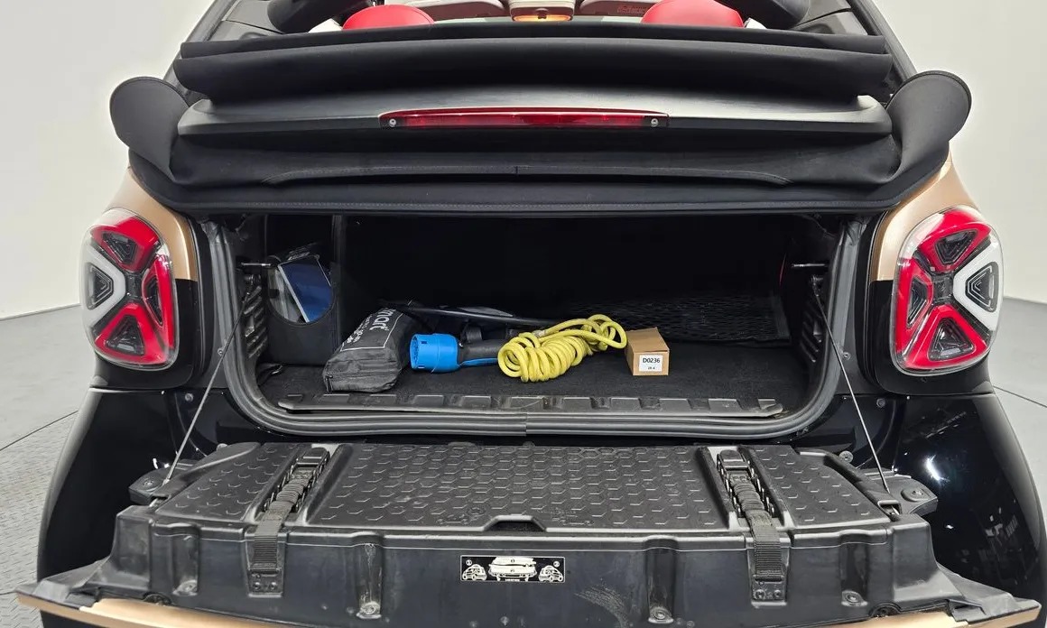 Smart Fortwo 13