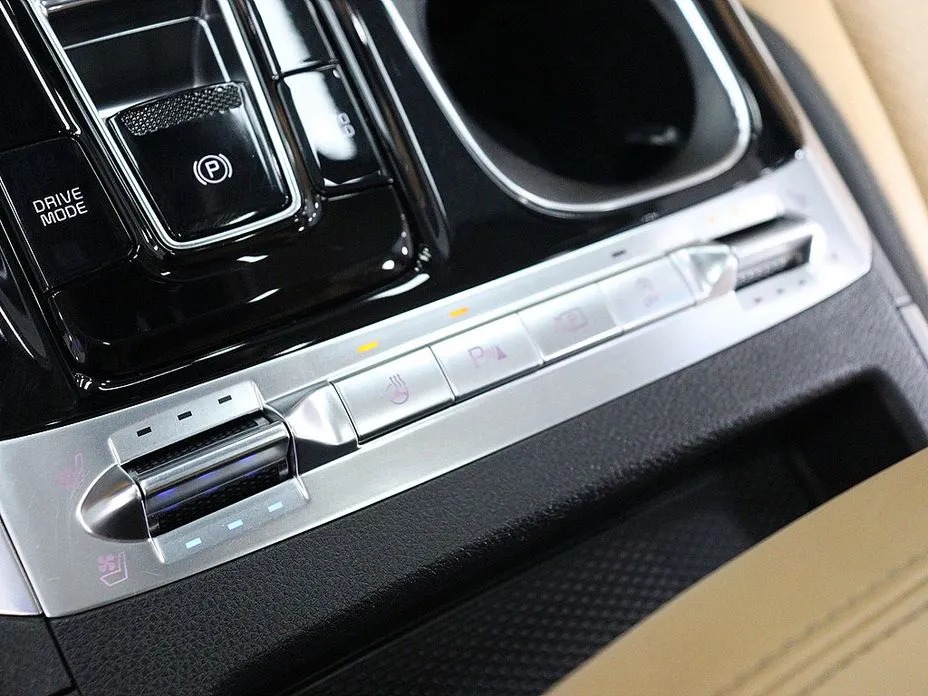 Kia Canival 18