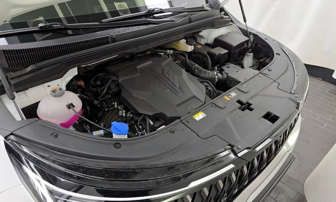 Kia Canival 6