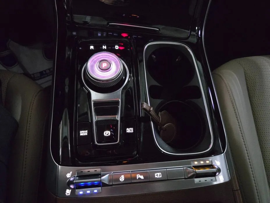 Kia Canival 19