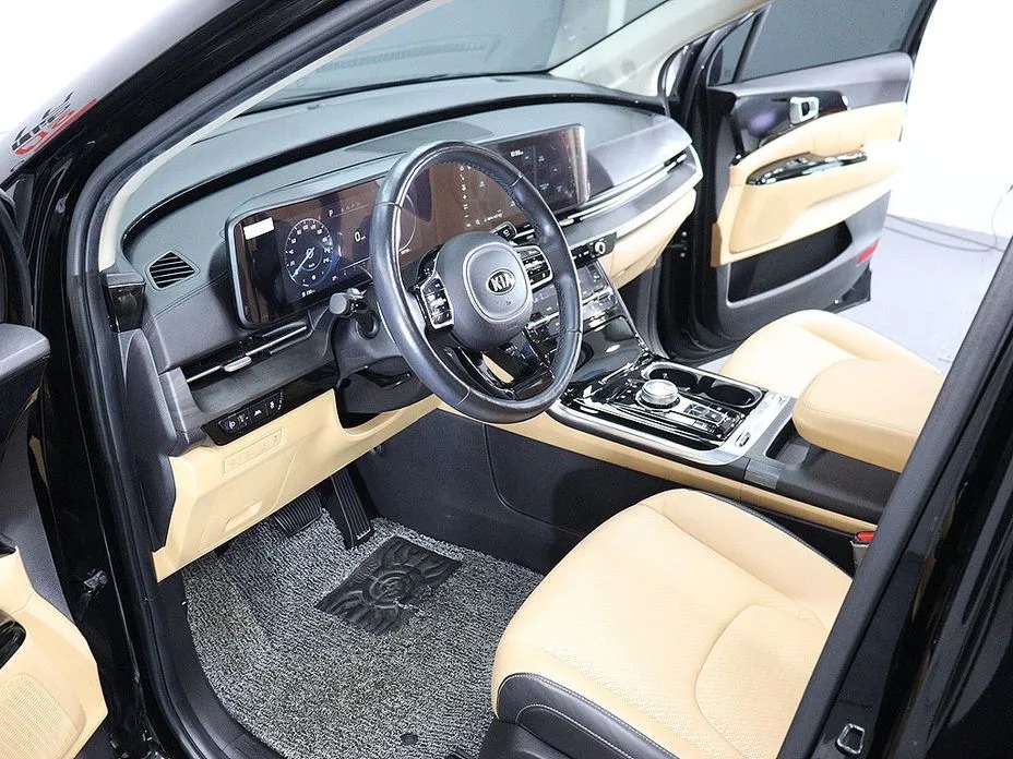 Kia Canival 10